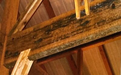 木カビ　天井梁カビ取り前と後の比較